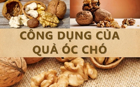 images/thumbnail/qua-oc-cho-co-nhung-tac-dung-tuyet-voi_tbn_1655281278.jpg