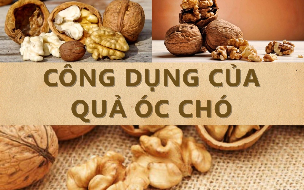 images/upload/qua-oc-cho-co-nhung-tac-dung-tuyet-voi_1655281278.jpg